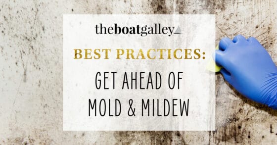Dealing with Mold and Mildew